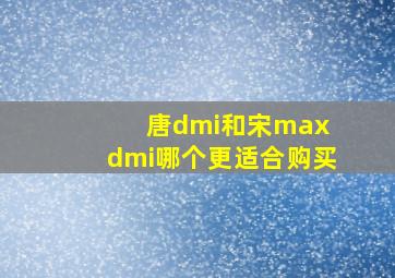 唐dmi和宋max dmi哪个更适合购买